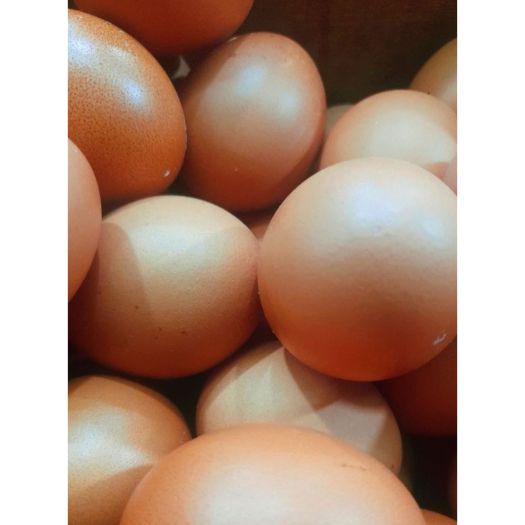 Telur Ayam Negeri Fresh 1kg Khusus Instant KOTA BEKASI MUSTIKAJAYA