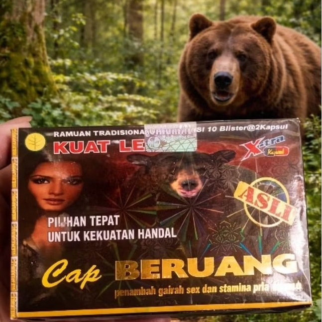 Mainan cap stempel Beruang lucu