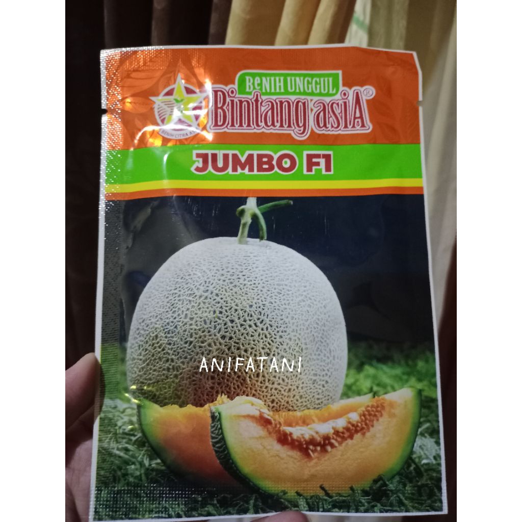 benih melon JUMBO F1