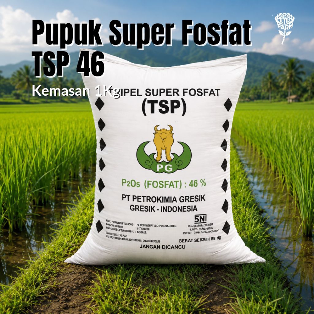 Pupuk Fosfor TSP Kemasan 1KG | Pupuk Perangsang Akar & Pembungaan Tanaman