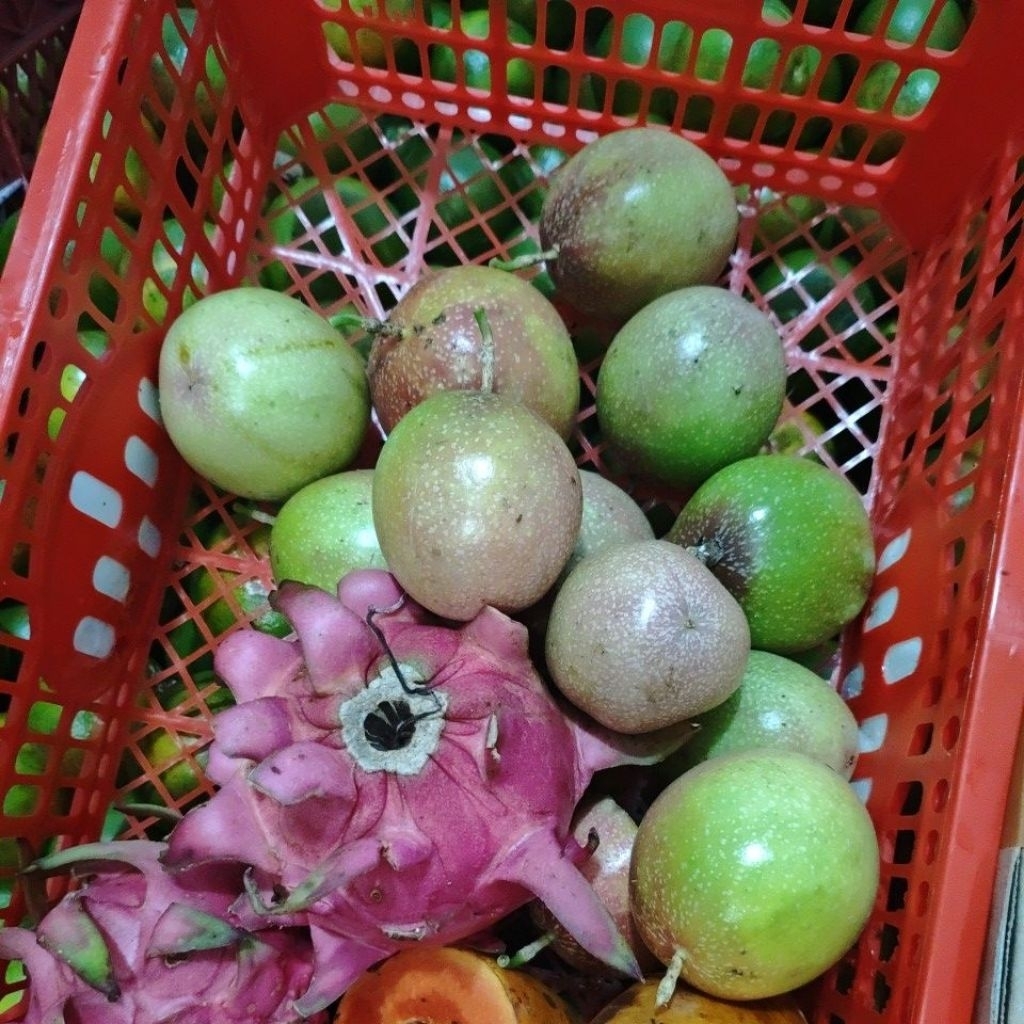 buah naga+markisa 1 kg