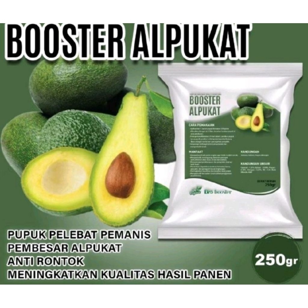 pupuk boster buah alpukat