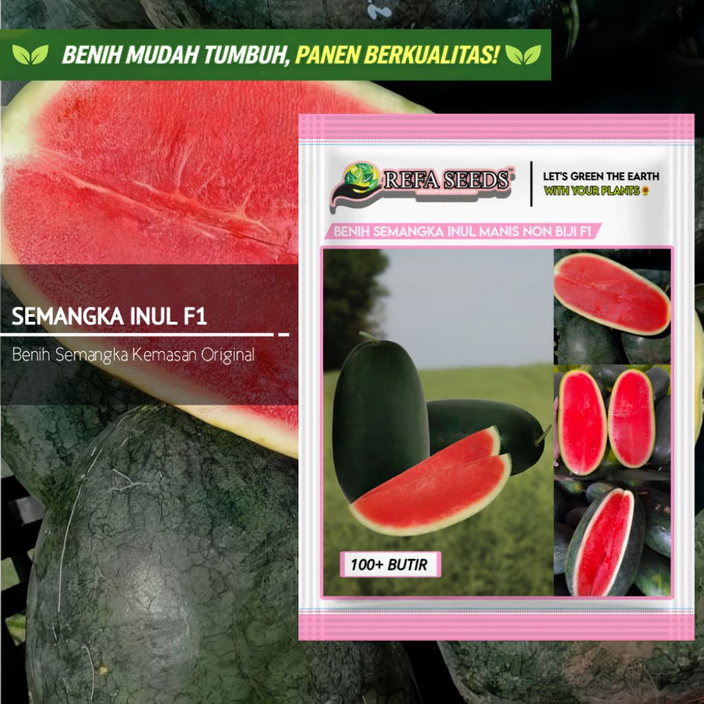 1 Pak 100 Biji Benih Semangka Inul Non Biji F1 Rasa Manis Original 100% | Mudah Panen