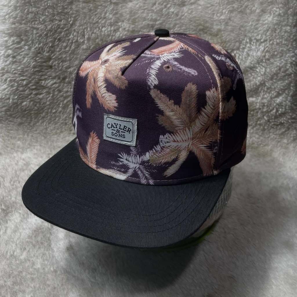 Topi / Snapback CAYLER & SONS motif