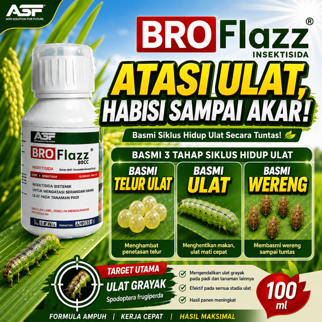BROFLAZZ INSEKTISIDA Ampuh Atasi Serangan Ulat Dengan Bahan Aktif Brofanalida Insektisida Ulat Palin