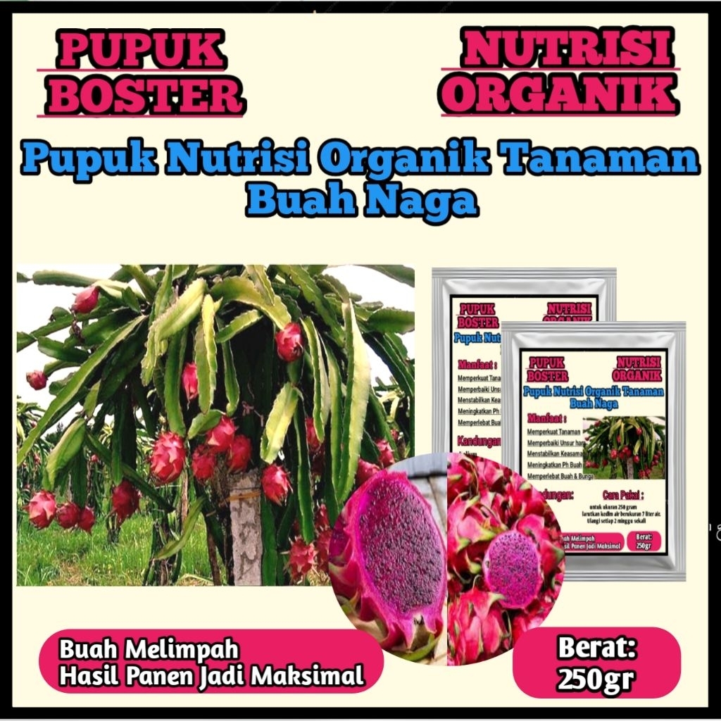 PUPUK BUAH NAGA#PUPUK BOSTER#PUPUK ORGANIK#PELEBAT BUAH