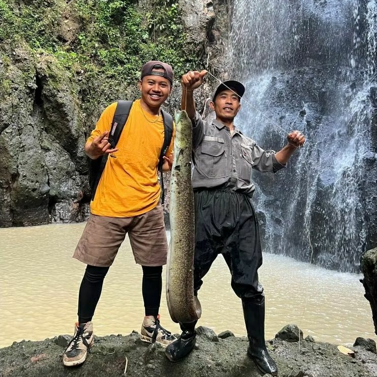 Urek Pancingan Sidat Urek Jujul Kail Tajur Sidat 4 Pilihan Size