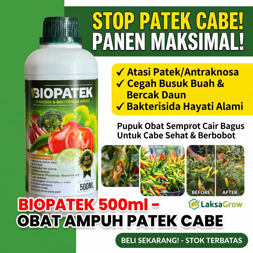 obat semprot cabe antraknosa fungisida bakteri cabe obat patek cabe paling bagus bercak coklat daun 