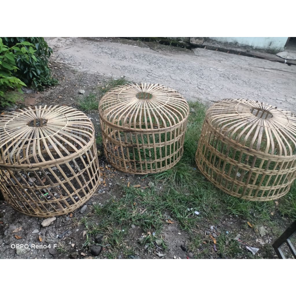 kandang/kurungan ayam jago bangkok