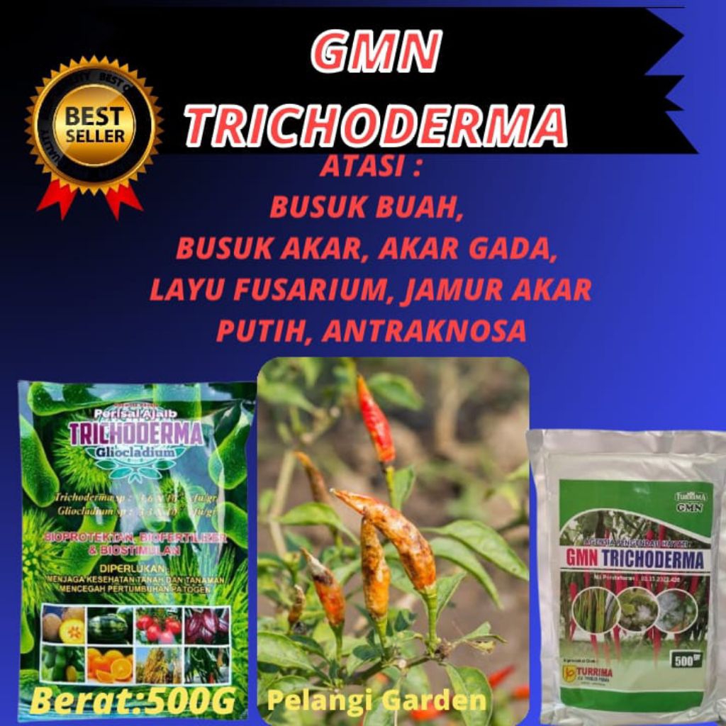 SOLUSI AJAIB !! Trichoderma Anfush, Trichoderma Asperellum Isi 500gram