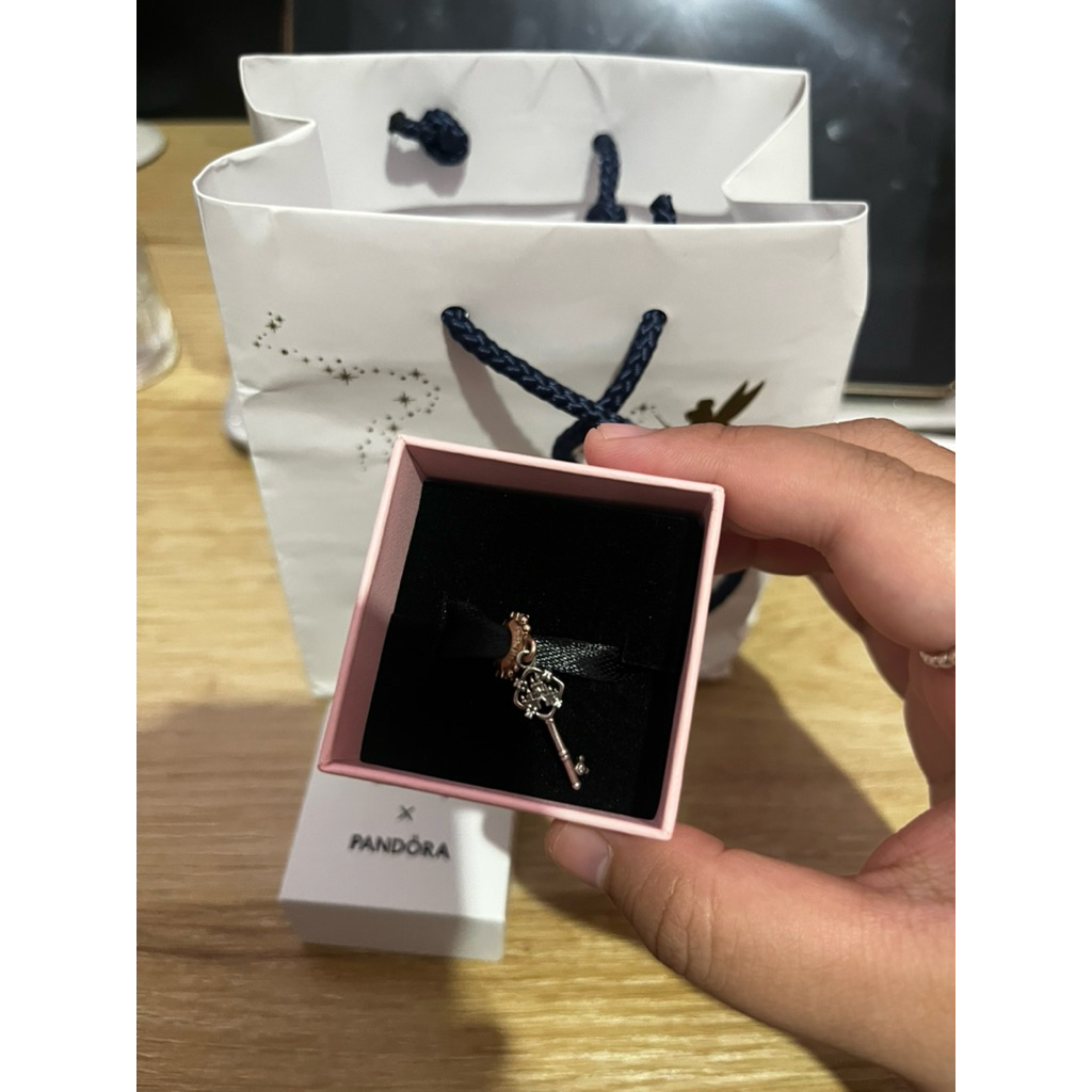 Pandora Charm Disney
