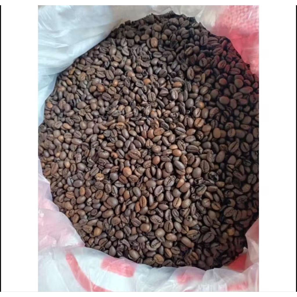 Kopi green bean robusta