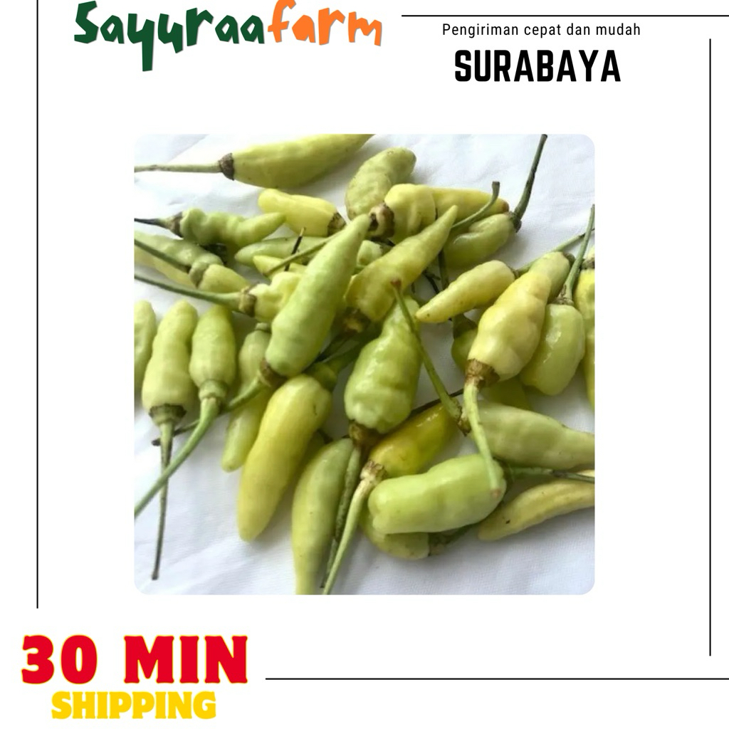 Cabe cabai rawit putih - rawit putih lalapan 100gr