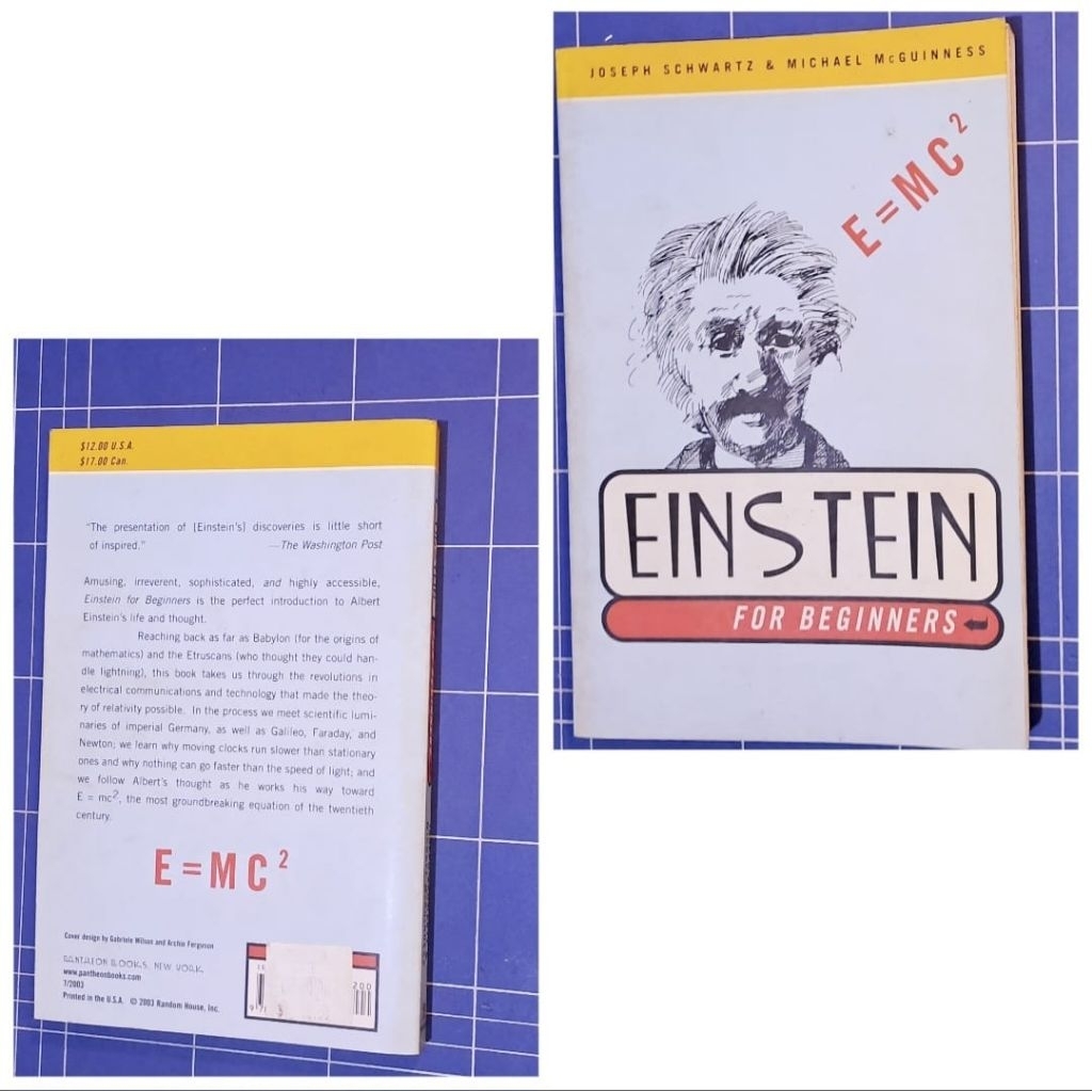 Buku Preloved Einstein for Beginners