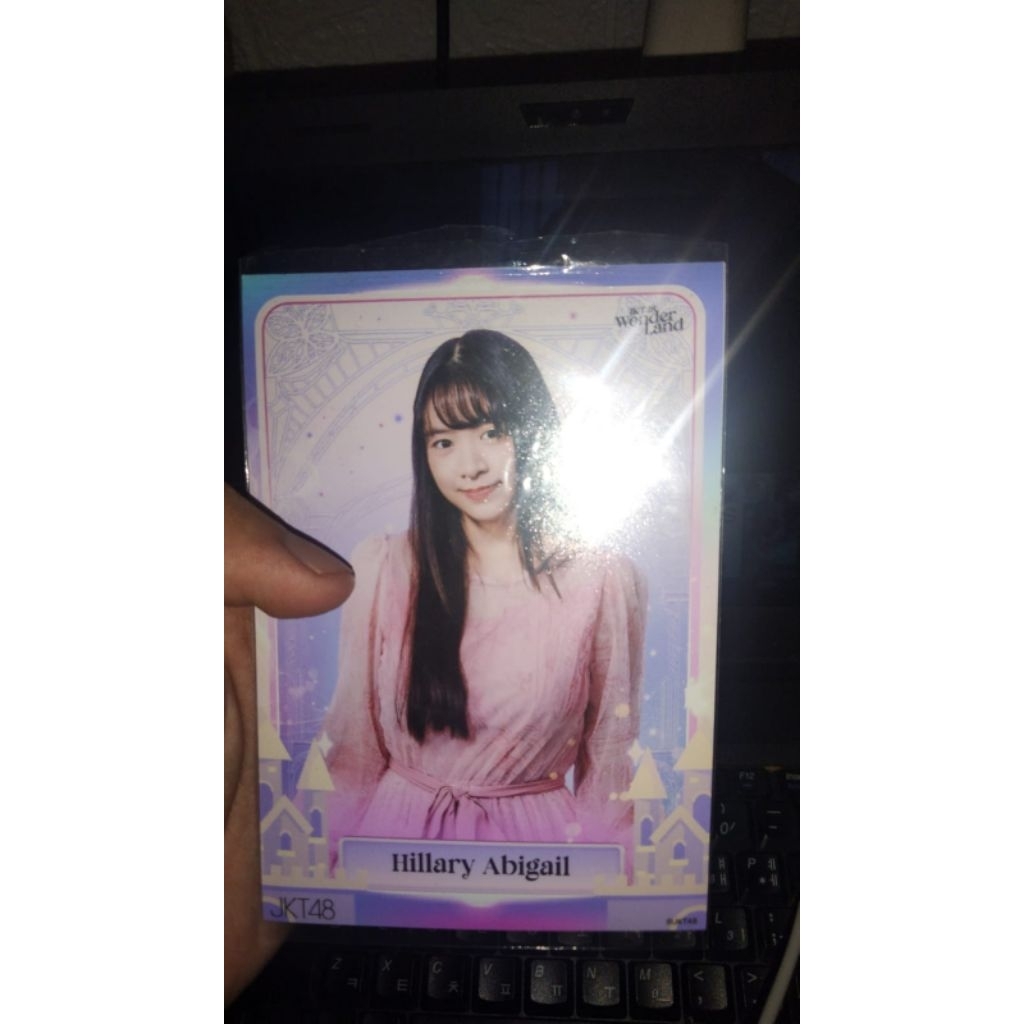 PP LILY WONDERLAND