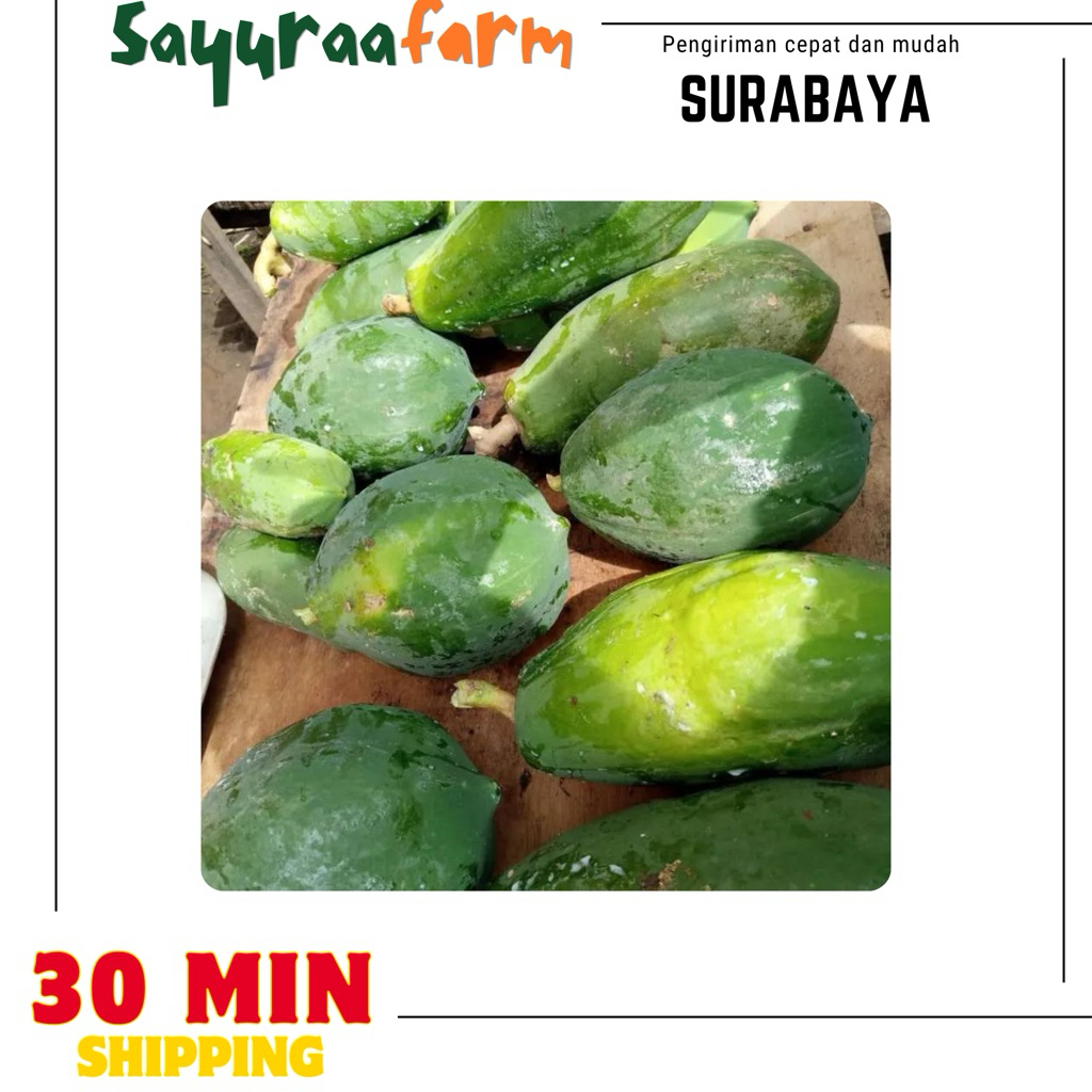 Pepaya muda - sayur pepaya muda perbuah