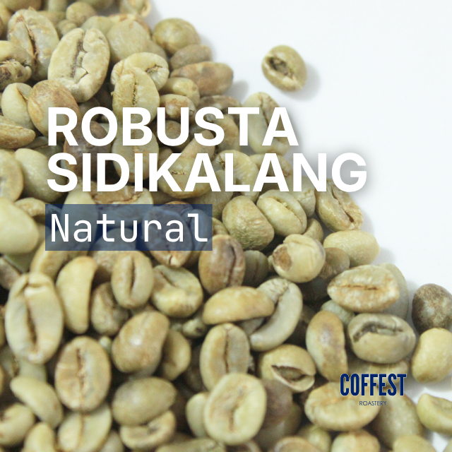 [GREEN BEAN] Robusta SIDIKALANG Natural 1kg | Grade 1 Biji Kopi Mentah Espresso Blend Base