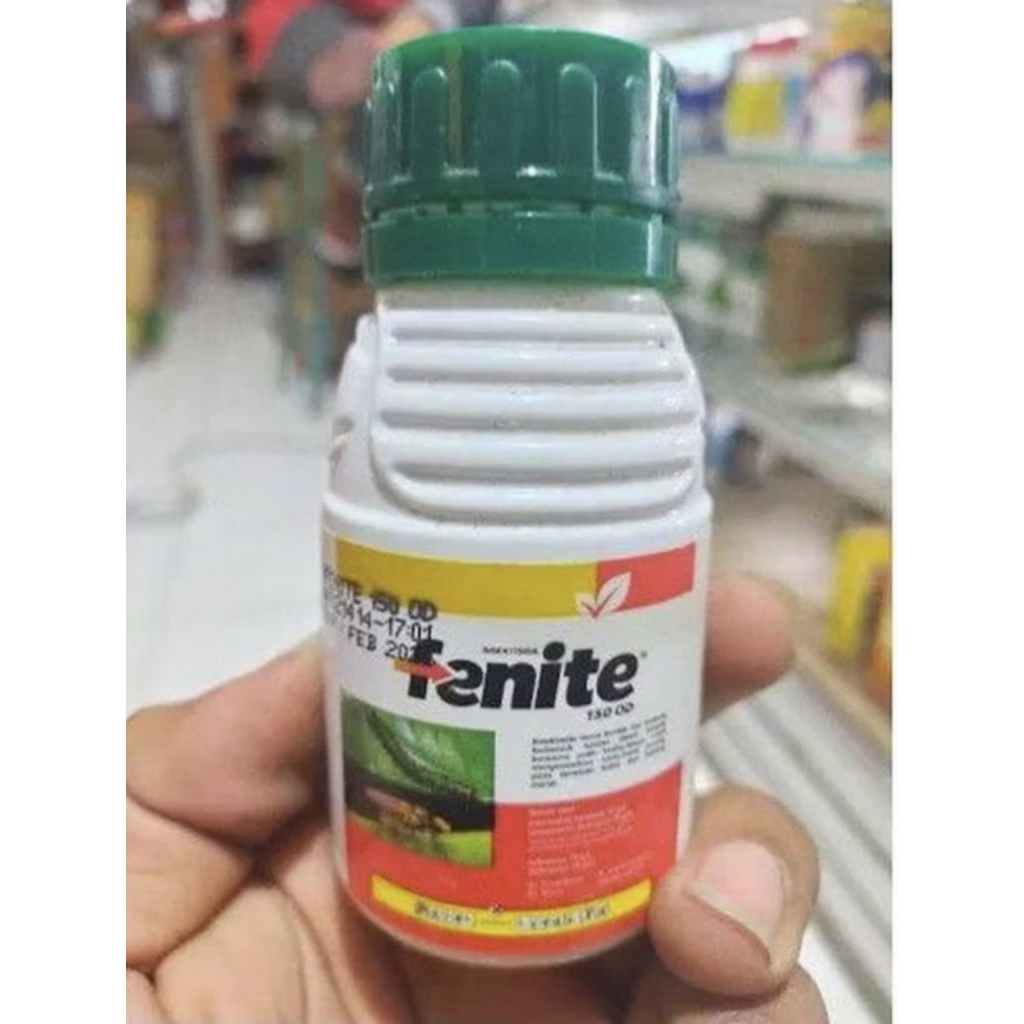 insektisida fenite 250ml 1dus isi 20pcs