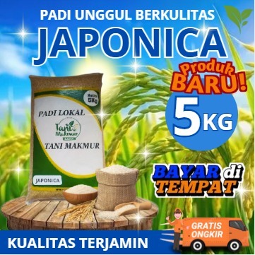 BENIH PADI JAPONICA KOSHIHIKARI KEMASAN 5KG ORIGINAL BIBIT PADI JAPONICA UNGGUL