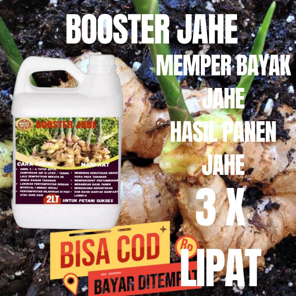 BOOSTER JAHE 2LT Pupuk Jahe Gajah / Pupuk Jahe Merah / Pupuk Jahe Emprit / Memperbesar Rimpang dan A