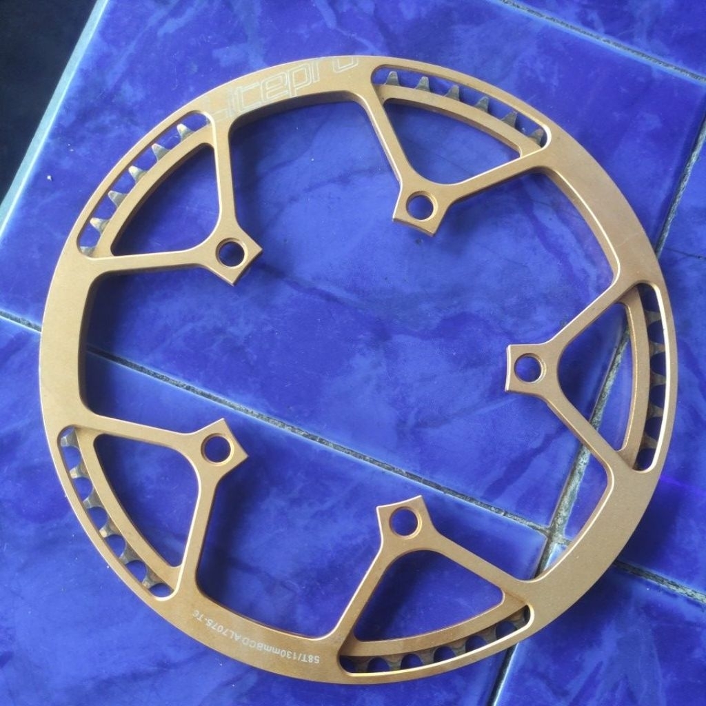 chainring LitePro 58T