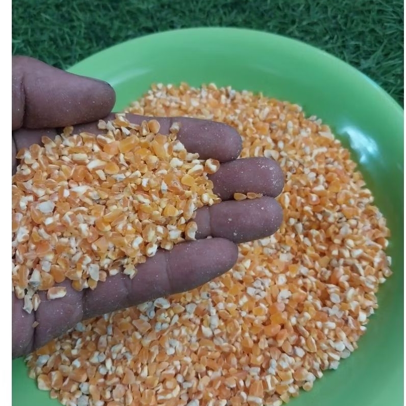 jagung giling jagung pecah jagung kering 500 gram