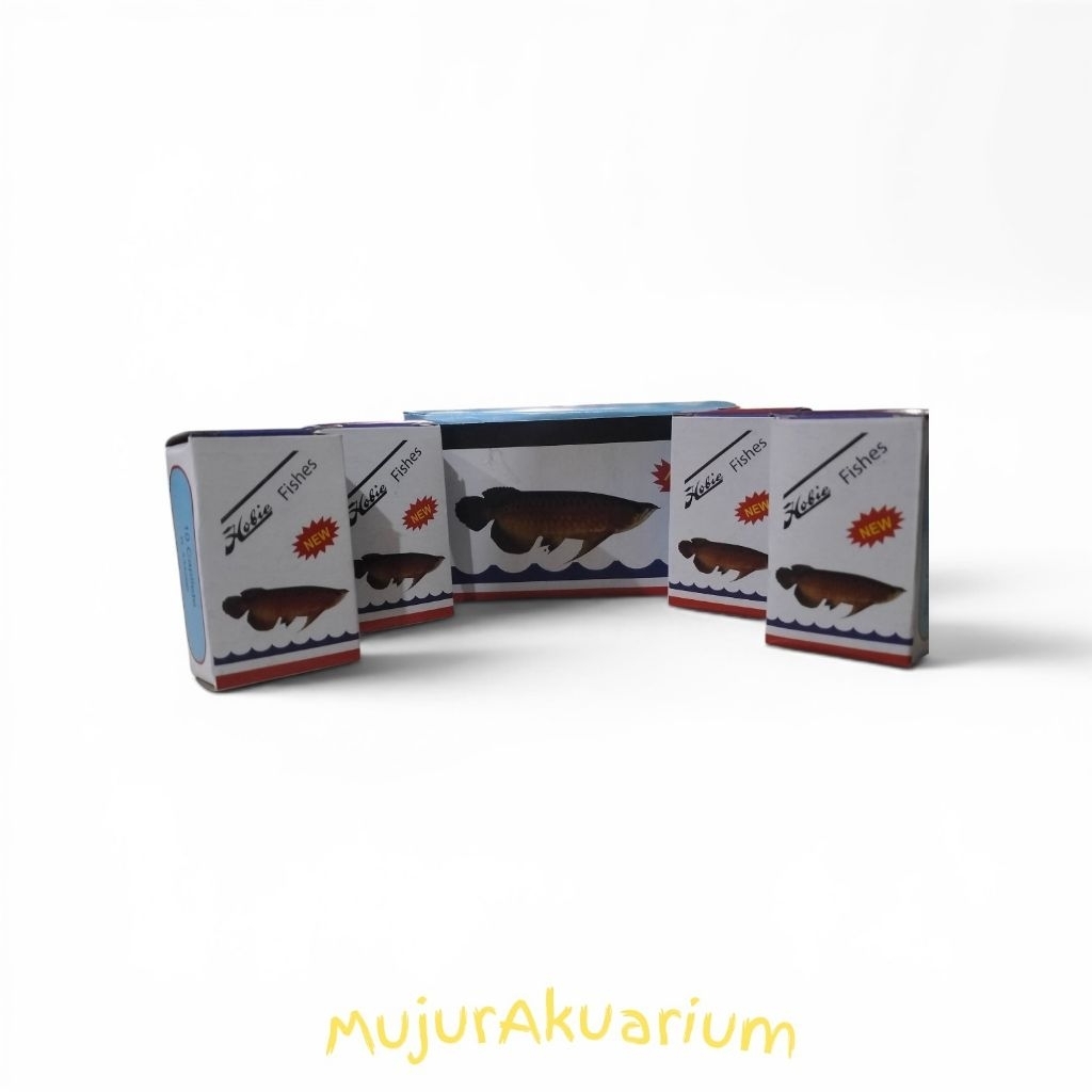 Pil Hobie | Pil Hobies Aquarium Arwana