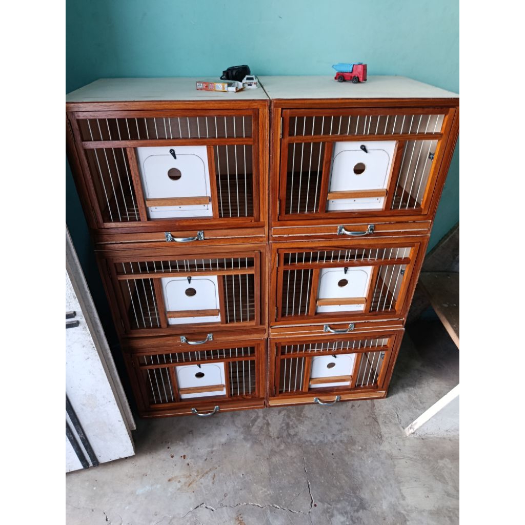 kandang merpati kandang macan mini kayu jati