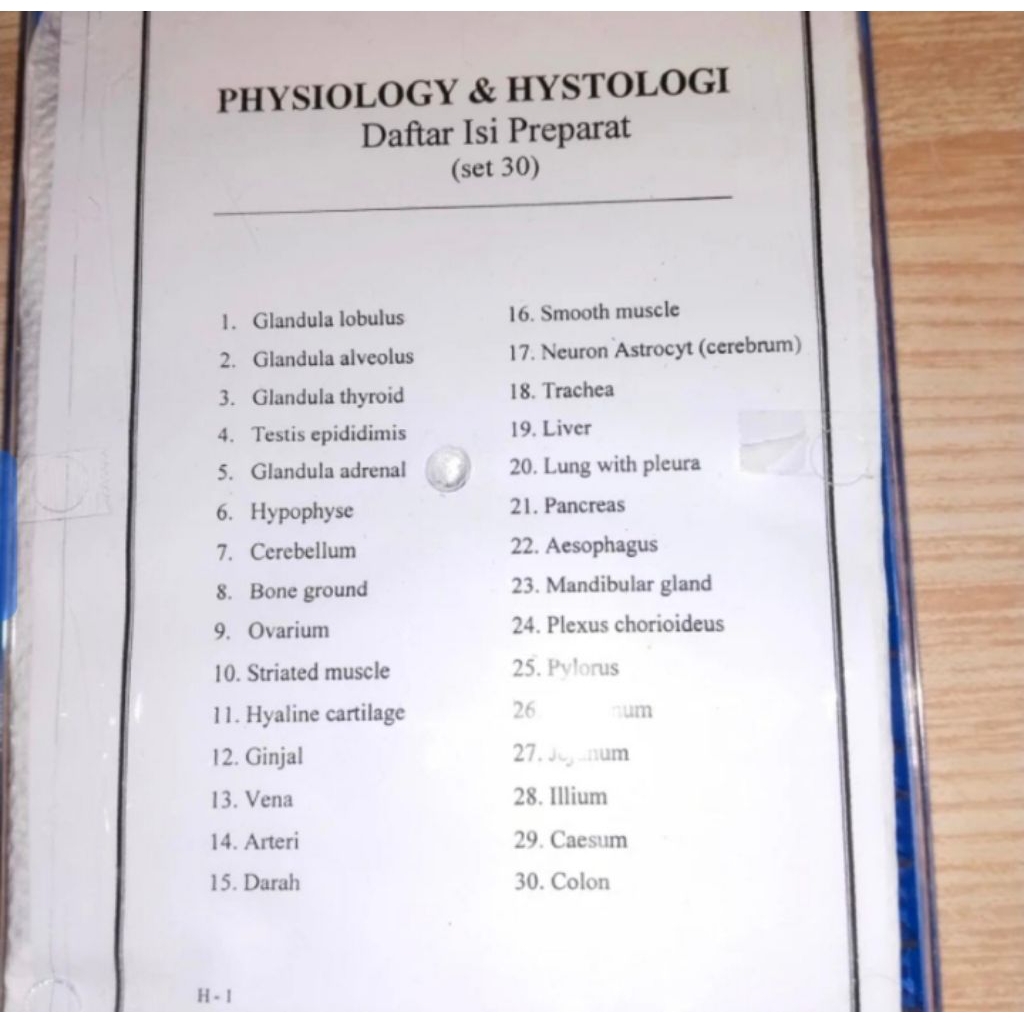Model Preparat Physiologi & Histologi isi 30