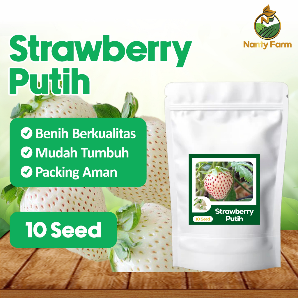 10 Biji Benih Strawberry Putih Buah Strawberry Putih Benih Buah Berkualitas