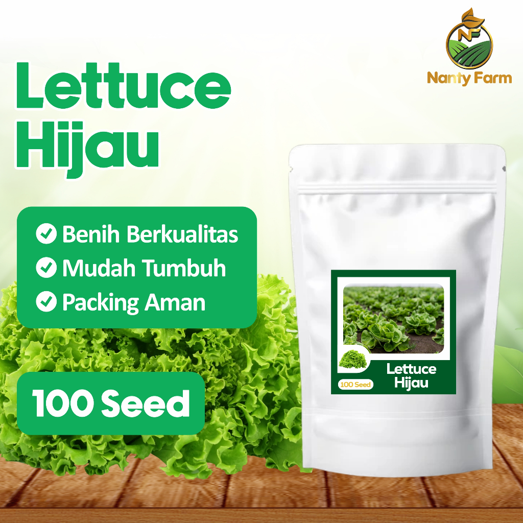 100 Benih Lettuce Hijau Selada Lettuce Hijau Benih Sayur - Benih Sayuran Selada Letuce