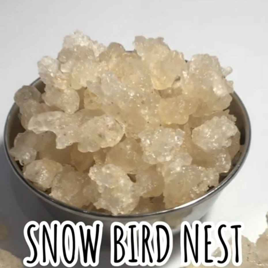 Snow bird nest / tragacanth gum / xue yen