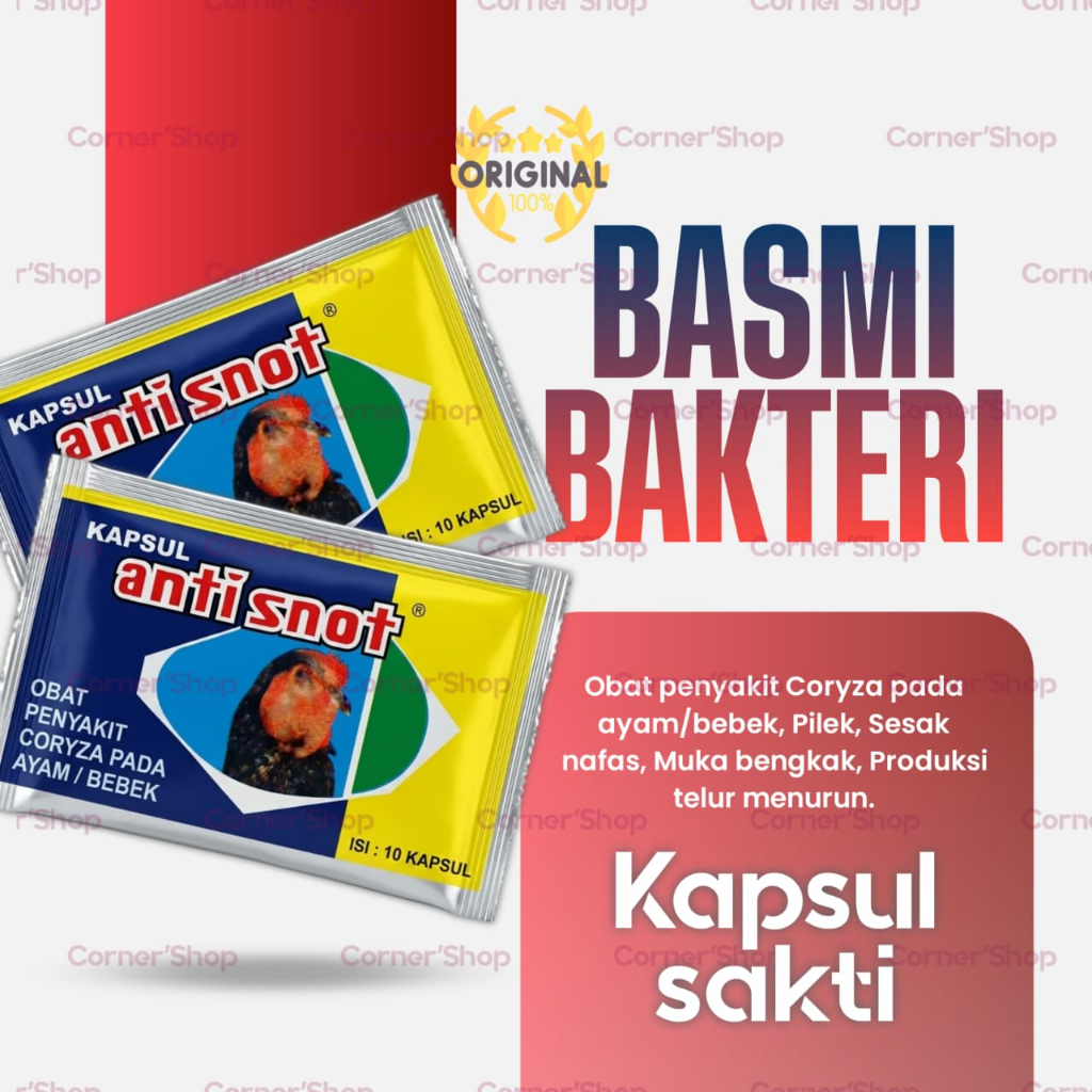 ANTI SNOT AYAM/BEBEK 10 KAPSUL EKA FARMA - Obat Ayam Korisa Coryza Snot Pilek Ayam Bebek