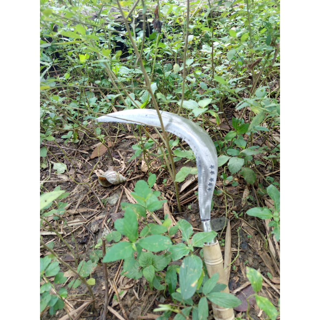 sabit rumput super tajam