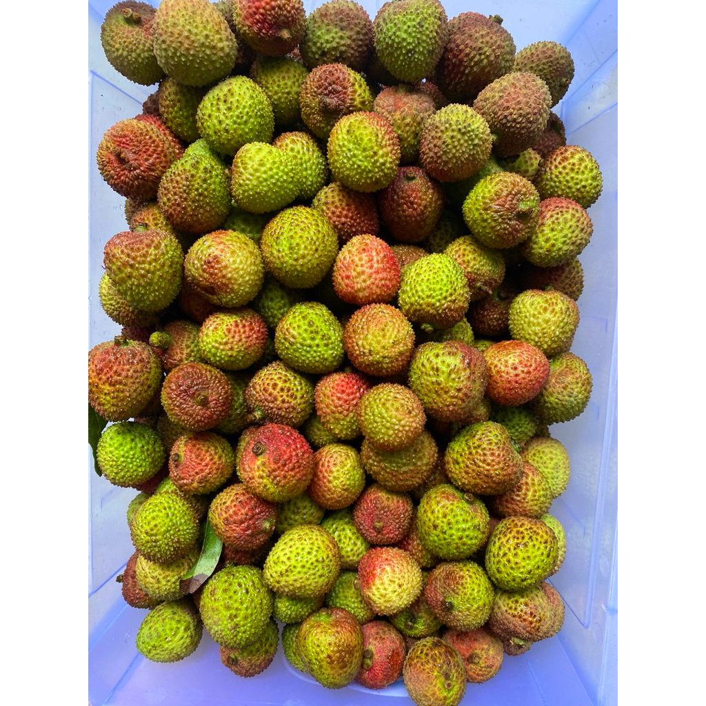 Buah leci madu manis/ Leci madu super