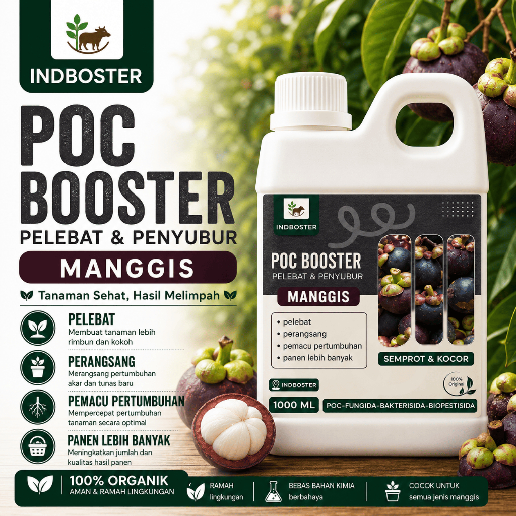 Pupuk Manggis Cepat Berbuah / Pupuk Buah Manggis / Pupuk Organik Pelebat Booster Manggis Perangsang 