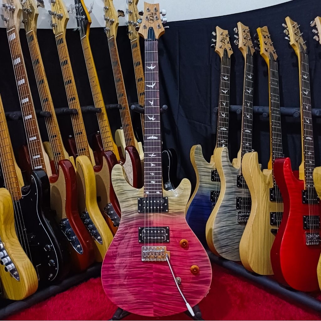 Gitar Elektrik Prs Se 24, Gitar Elektrik Prs Custom 24