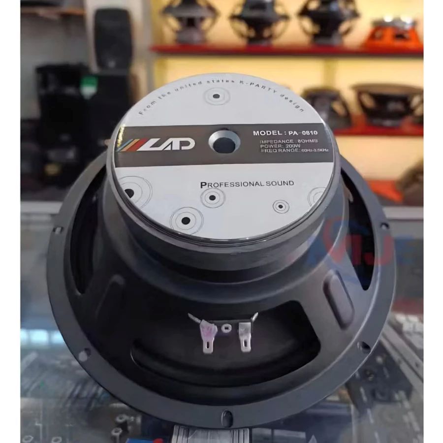 SPEAKER LAD 10 INCH 0810 Spiker Lad 0810 midle