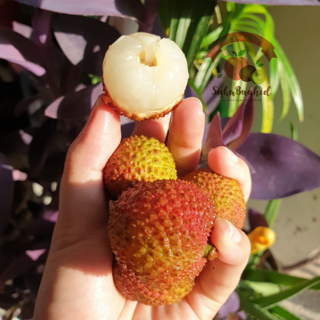 LECI HIJAU MADU | LECI MANIS | LECI MERAH | LYCHEE IMPORT FRESH