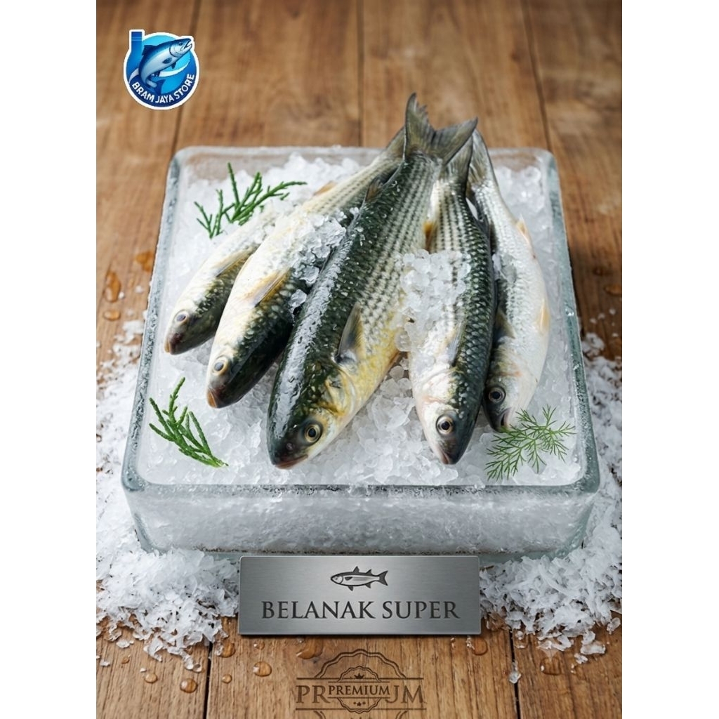 Ikan Belanak Ikan Gere Fresh DiBersihkan