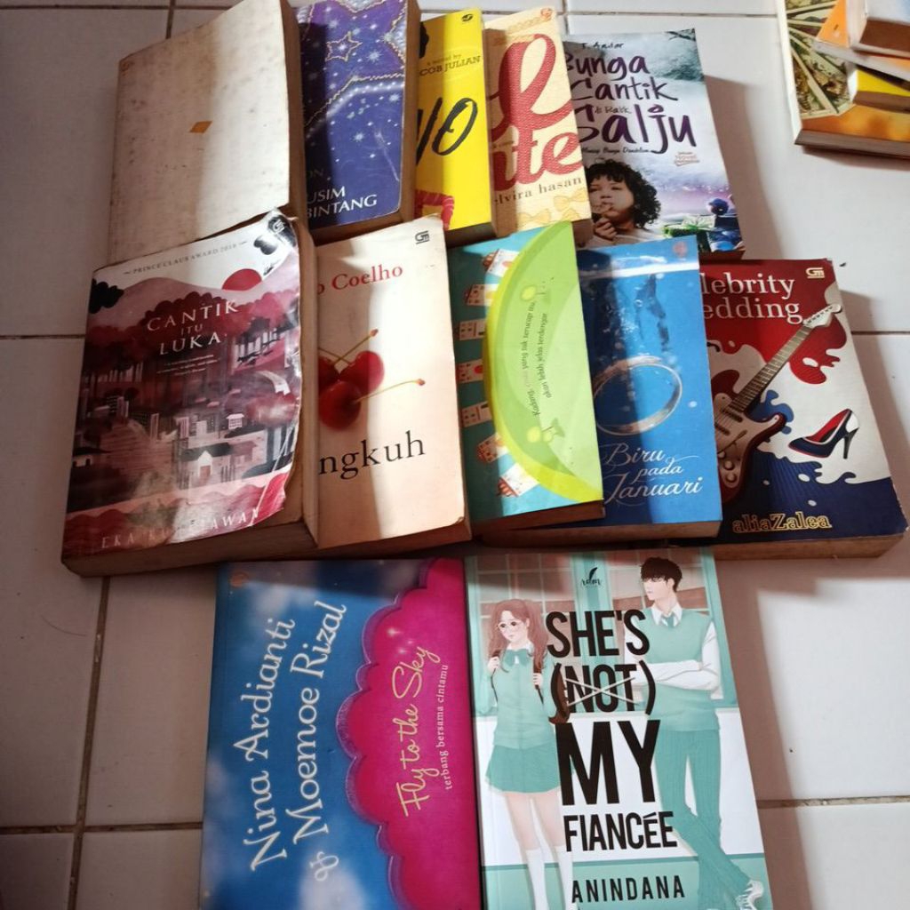Novel Indonesia bekas original, fantasi, misteri, romansa