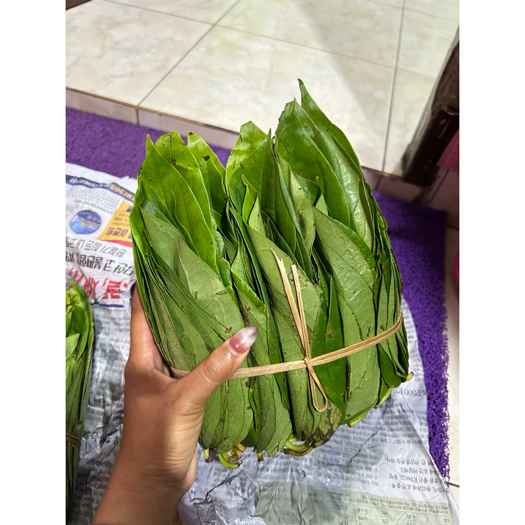 daunsirih sirih asli medan