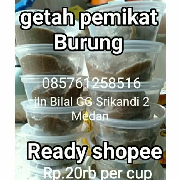 Pulut Burung getah pikat .