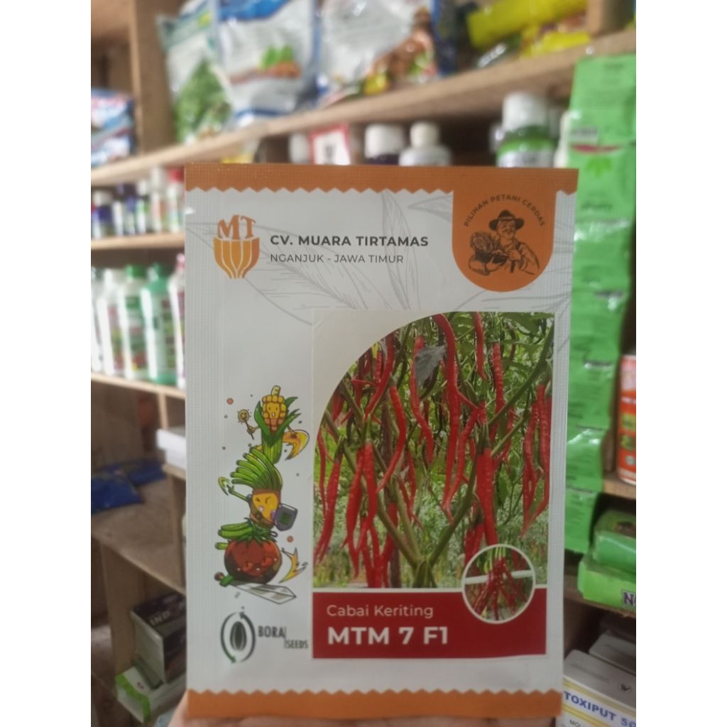 Benih Cabe MTM 7 F1 10 gram ( cabai keriting )