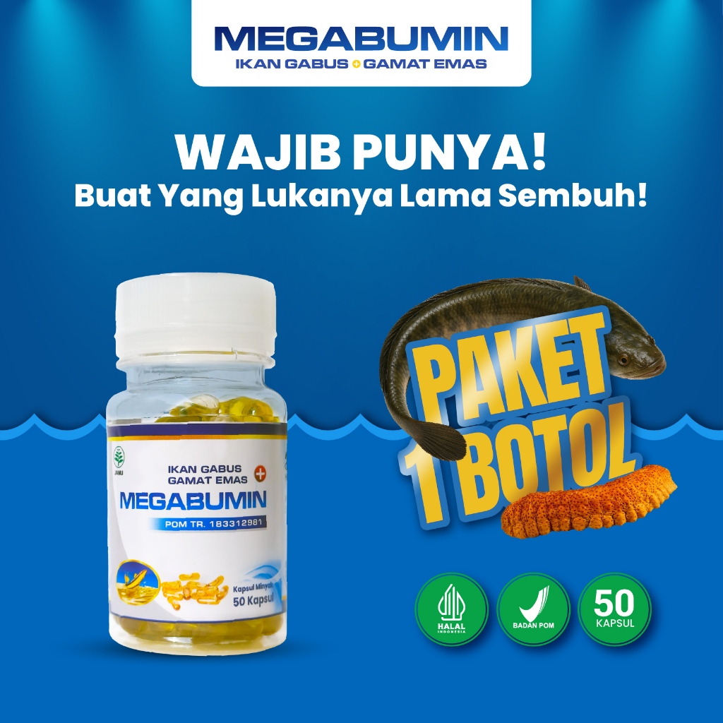Megabumin - Kapsul Sari Kutuk Minyak Ikan Gabus Albumin Plus Gamat Emas Obat Herbal Pasca Operasi Me