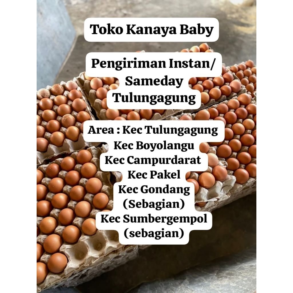 (Instan Kirim Tulungagung) Telur Ayam Horn cangkang coklat 1kg - Telur Puyuh