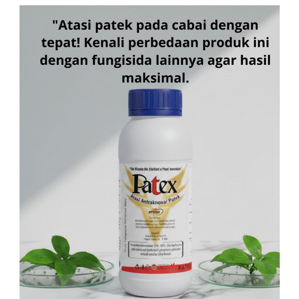 Fungisida Obat Patek Cabe Paling Ampuh – Antraknosa & Busuk Buah Tanaman