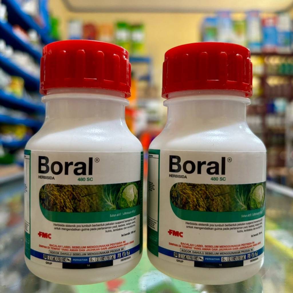 Herbisida Sistemik Selektif Kubin dan Sayuran BORAL 480sc