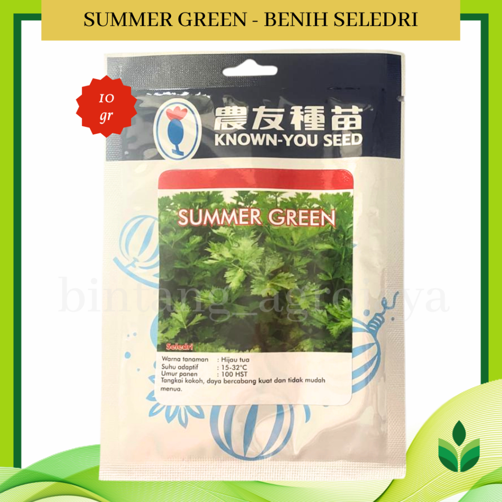 Benih Bibit Seledri Summer Green 10 gr - Known You Seed