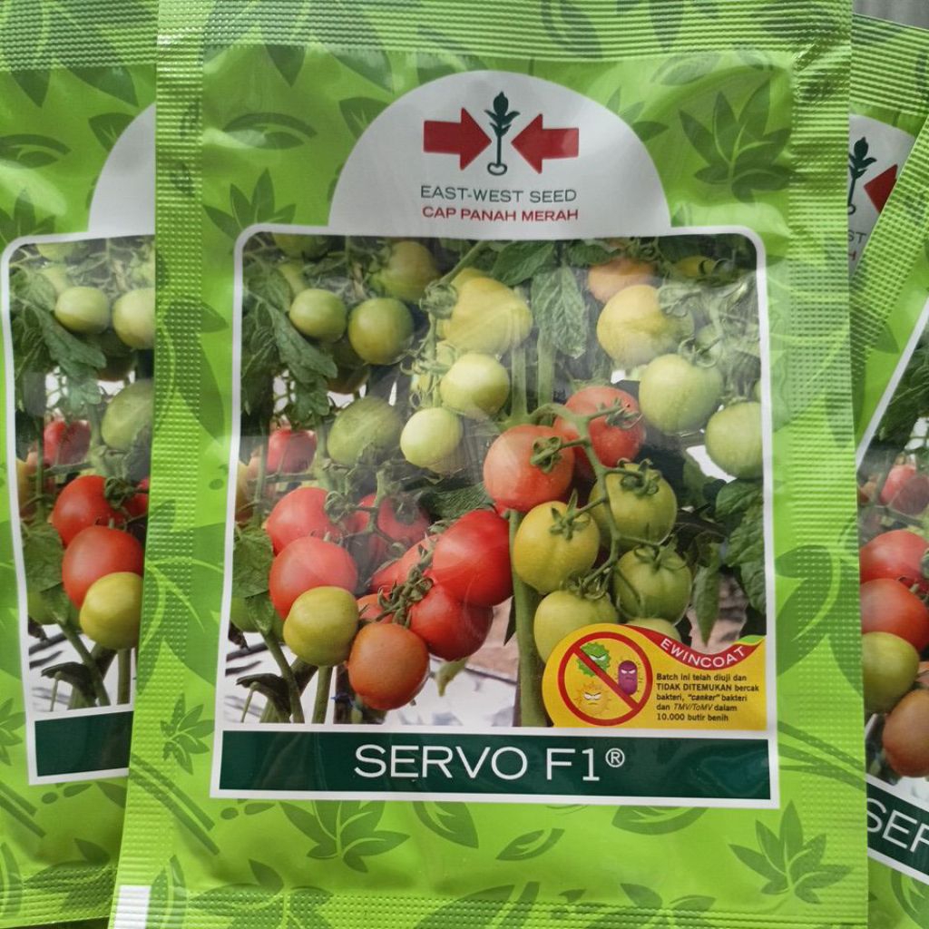 Tomat SERVO F1 - Benih tomat unggul
